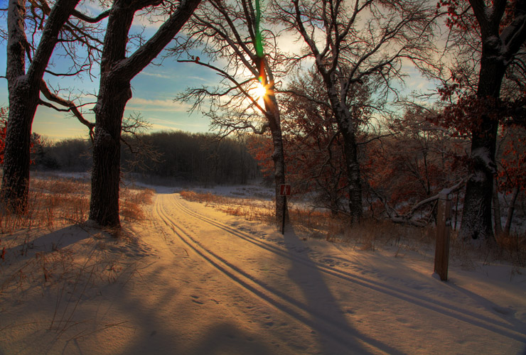 Wayne Moran Photography