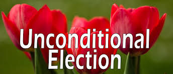 election-tulips
